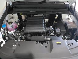 
										Jetour T2 2.0TD Odyssey 4wd full									