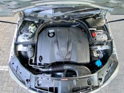 
										Mercedes Benz C-Class Sedan C 220cdi Classic Touchshift full									