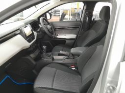 
										Renault Kiger 1.0L EVOLUTION full									
