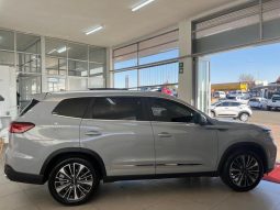 
										Chery Tiggo 8 Pro 2.0 Tgdi Max Executive Awd Dct full									