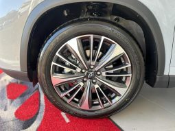 
										Chery Tiggo 8 Pro 2.0 Tgdi Max Executive Awd Dct full									