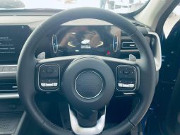 
										Gwm P300 2.4T Ls D Cab 4wd full									