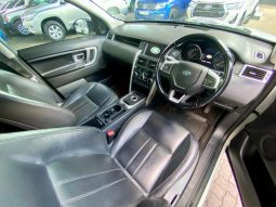 
										Land Rover Discovery Sport 2.0 I4 Diesel Se At full									