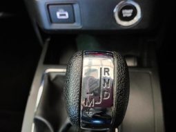 
										Renault Kiger 1.0 Energy Zen Amt full									