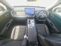 
										BAIC B30 1.5T Hev Premium Adventure Awd full									
