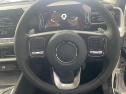 
										Gwm P300 2.4T Ls D Cab 4wd full									