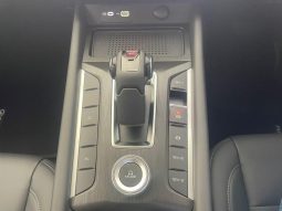 
										Gwm P300 2.4T Ls D Cab 4wd full									