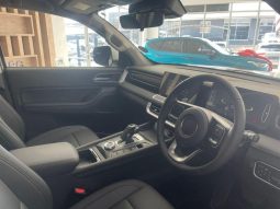 
										Gwm P300 2.4T Ls D Cab 4wd full									