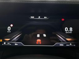 
										Gwm Tank 300 2.4D Luxury 4X2 At full									
