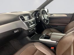 
										Mercedes Benz Ml Ml 250 Bluetec 4matic Amg Sports full									