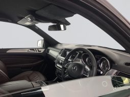 
										Mercedes Benz Ml Ml 250 Bluetec 4matic Amg Sports full									