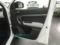 
										Renault Kiger 1.0L TECHNO AMT full									