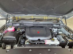 
										FOTON TUNLAND TUNLAND 2.0D V7 VLX 4X4 A/T P/U D/C full									