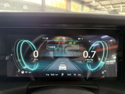 
										FOTON TUNLAND TUNLAND 2.0T G7 ELITE A/T P/U D/C full									