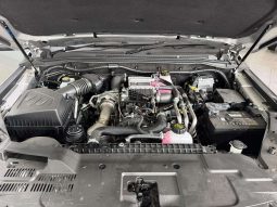 
										FOTON TUNLAND TUNLAND 2.0T G7 ELITE A/T P/U D/C full									