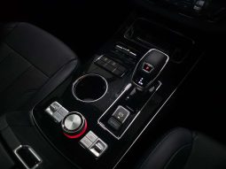
										FOTON TUNLAND TUNLAND 2.0T G7 LUXURY 4X4 A/T P/U D/C full									