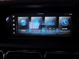 
										FOTON TUNLAND TUNLAND 2.0T G7 TLX 4X4 P/U S/C full									