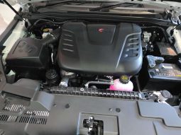 
										FOTON TUNLAND TUNLAND 2.0T G7 TLX 4X4 P/U S/C full									