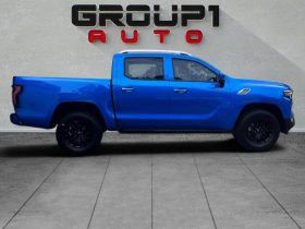 Foton Tunland V7 2.0D Vlx D Cab 4X2 At