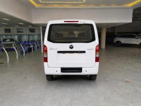 Foton View 2.0 C2 Froof Panel Van