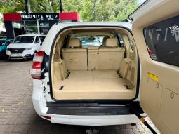 
										Toyota Prado 4.0 V6 Vx At full									