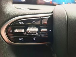 
										Chery Tiggo Cross HEV 1.5 Hev Elite Dht full									