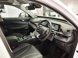 
										Chery Tiggo Cross HEV 1.5 Hev Elite Dht full									