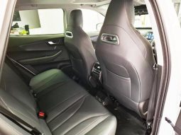 
										Chery Tiggo Cross HEV 1.5 Hev Elite Dht full									