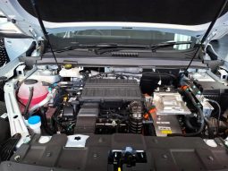 
										Chery Tiggo Cross HEV 1.5 Hev Elite Dht full									