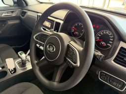 
										GWM P-SERIES P300 2.0TD SX 4X4 A/T D/C P/U full									