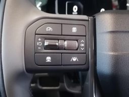 
										Kia Tasman 2.2 Sx D Cab 4X4 At full									