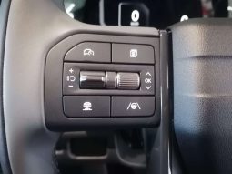 
										KIA TASMAN TASMAN 2.2D SX P/U D/C A/T 4X4 full									