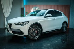 
										Alfa Romeo Stelvio 2.0T Q4 Super full									