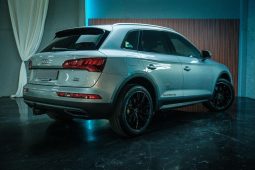 
										Audi Q5 2.0 Tdi Quattro S-Tronic full									