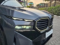 
										BMW Xm 4.4 Phev full									