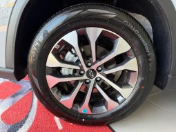 
										Chery Tiggo 8 Pro LS 1.6T 7DCT full									