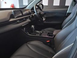 
										Chery Tiggo Cross 1.5 LiT At full									