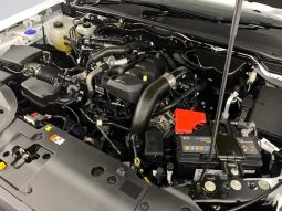 
										Ford Ranger 2.0 Wildtrak D Cab 4X2 10at full									