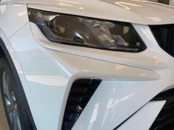 
										Geely Coolray 1.5TD Nova Dct full									