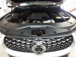 
										GWM P-SERIES P-SERIES 2.0TD DLX 4X4 A/T D/C P/U full									