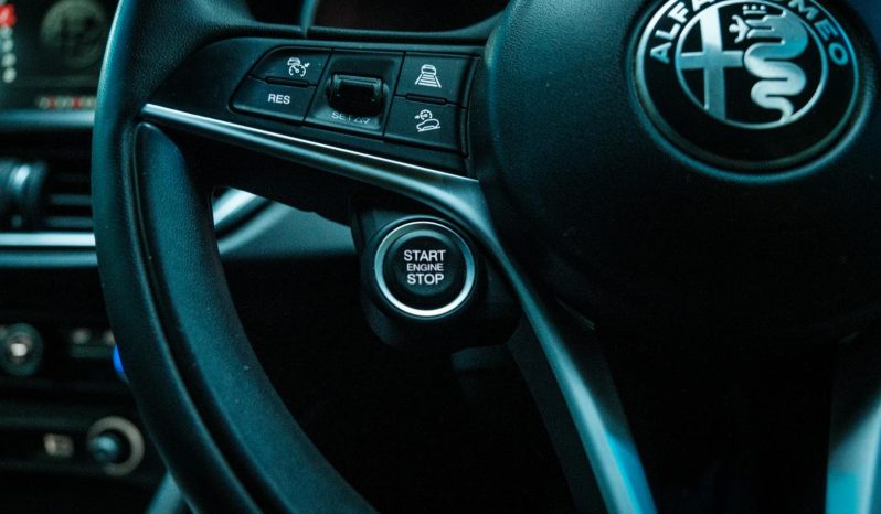 
								Alfa Romeo Stelvio 2.0 B-Tech full									