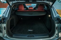 
										BAIC X55 Plus 1.5T Premium 2-Tone full									