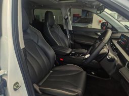 
										Chery Tiggo Cross HEV 1.5 Hev Elite Dht full									