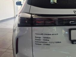 
										Chery Tiggo Cross HEV 1.5 Hev Elite Dht full									