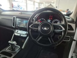 
										GWM P-SERIES P-SERIES 2.0TD DLX 4X4 A/T D/C P/U full									