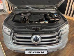 
										GWM P-SERIES P-SERIES 2.0TD LT A/T D/C P/U full									
