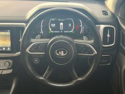
										GWM P-SERIES P-SERIES 2.0TD LT A/T D/C P/U full									