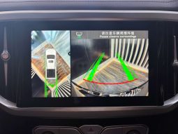
										GWM P-SERIES P-SERIES 2.0TD LT A/T D/C P/U full									