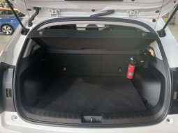 
										HAVAL H2/JOLION JOLION 1.5T SUPER LUXURY DCT full									