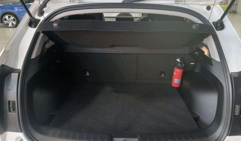 
								HAVAL H2/JOLION JOLION 1.5T SUPER LUXURY DCT full									